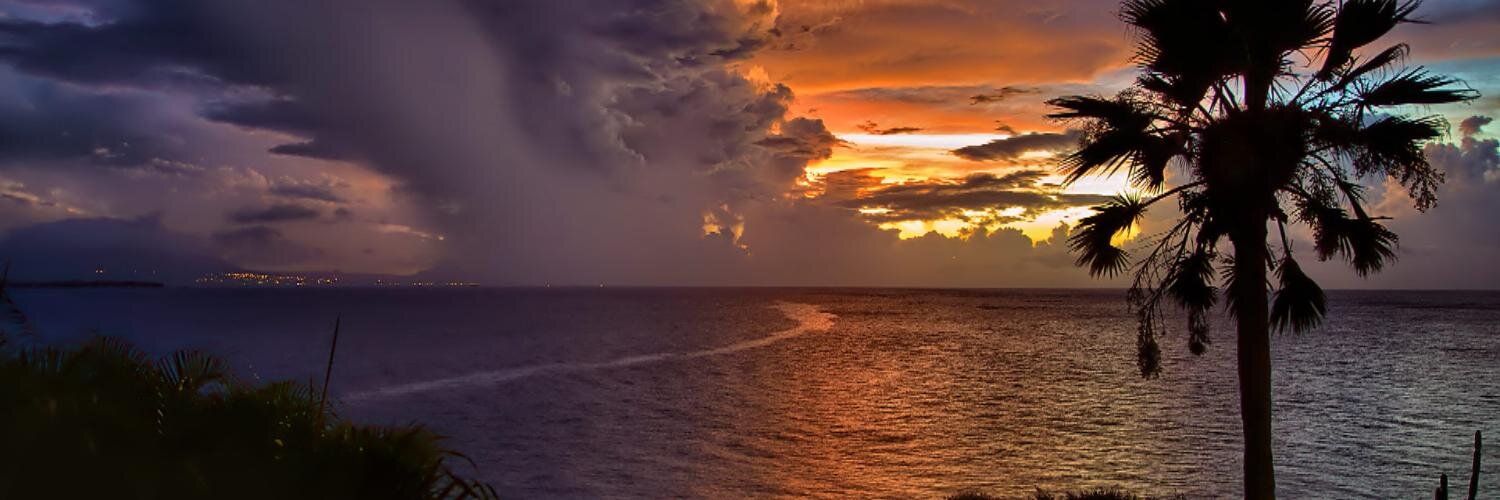 Dave “Sunset Gretsch” banner