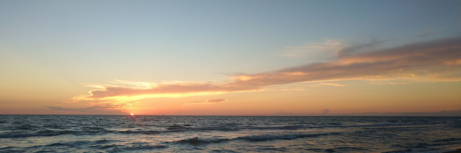 Laura B banner