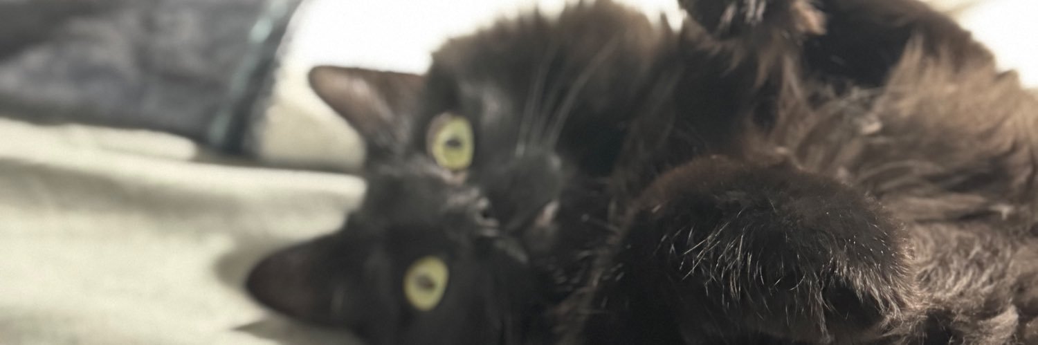 Shreeedgar's profile banner image
