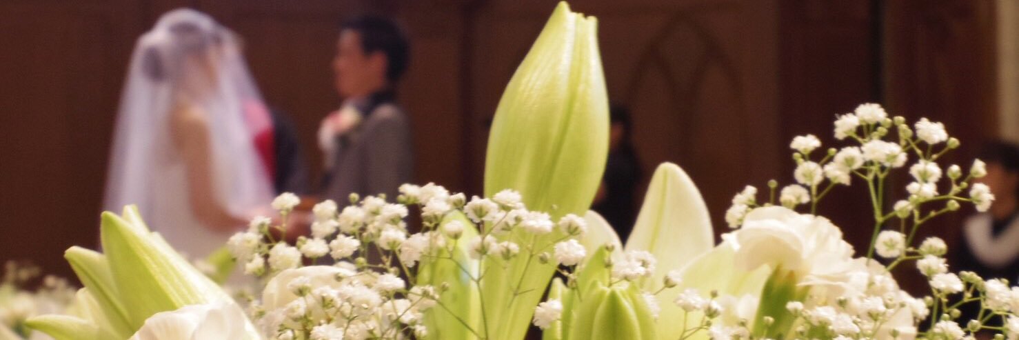7716mie's profile banner image