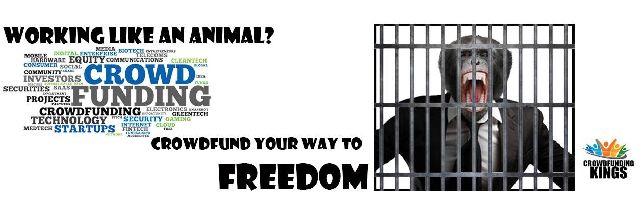CrowdFundKings's profile banner image