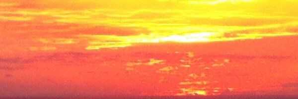 ThierryWellhoff Profile Banner