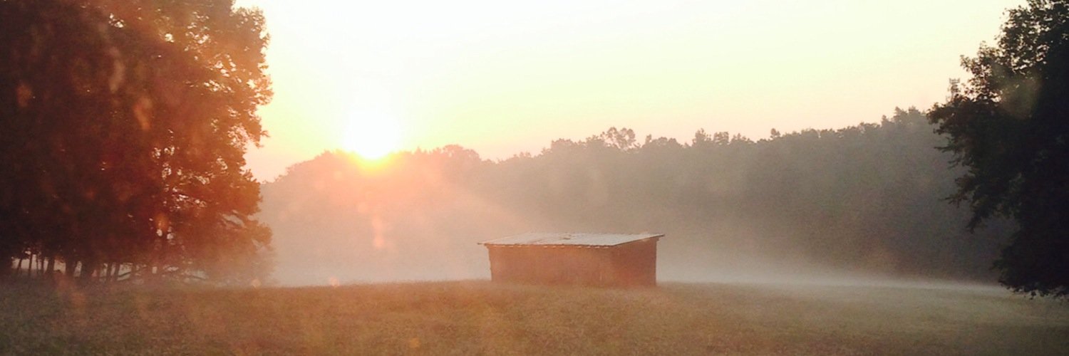 Matthew Green banner