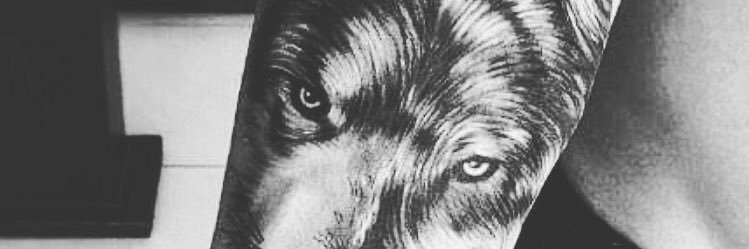 imrjunietes's profile banner image