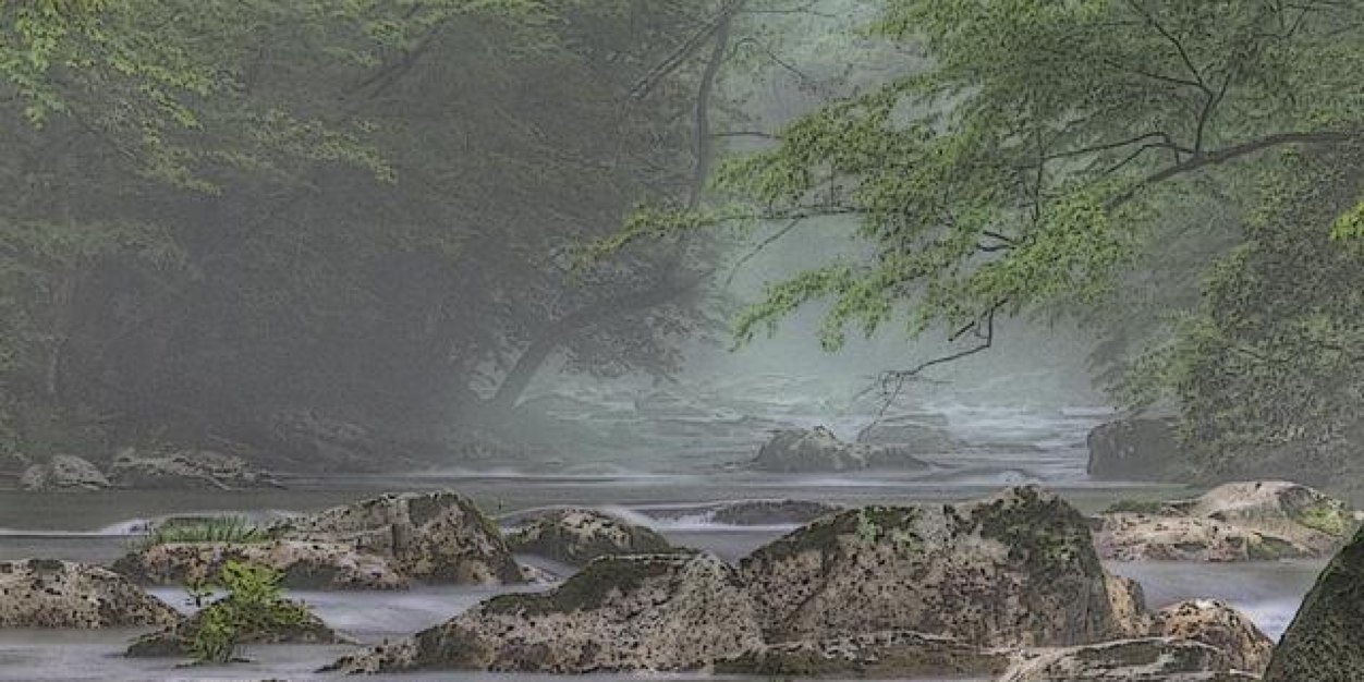 WillBenight21's profile banner image