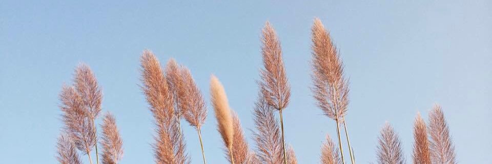 kunanonkarasit's profile banner image