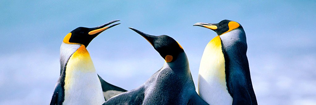 1systematic2's profile banner image