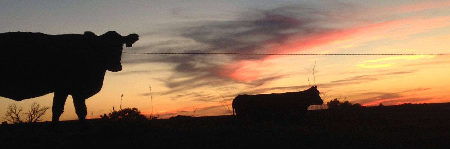 Taylor Scherer banner