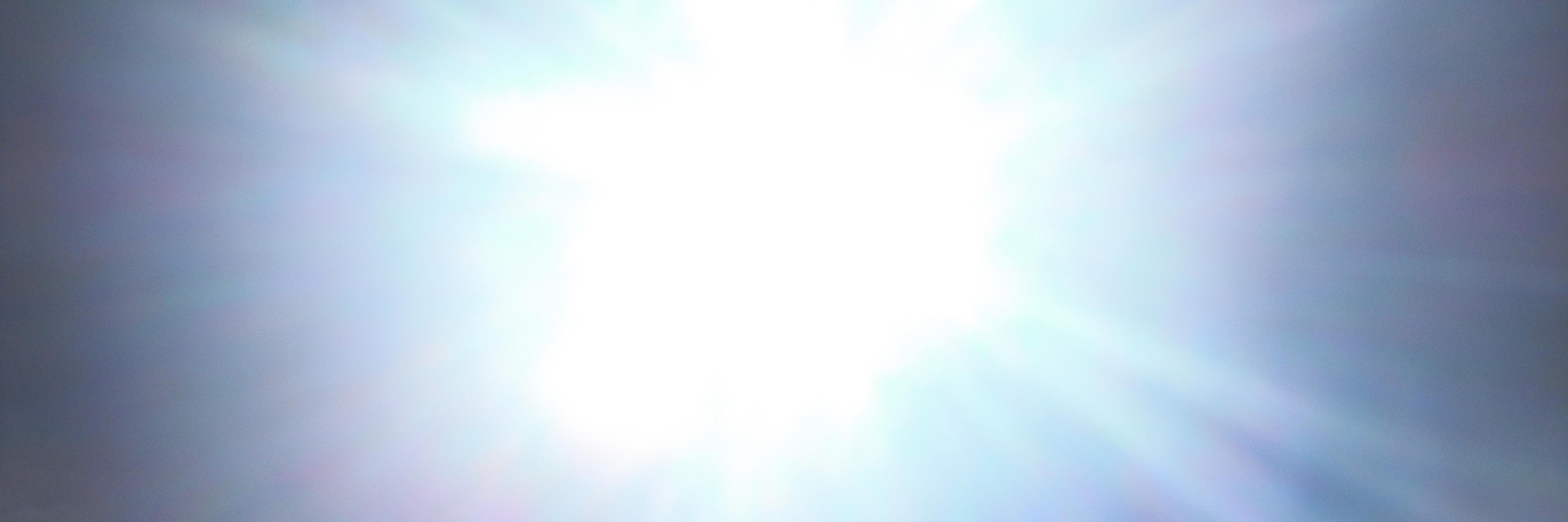 🌸kindness oxygen sunshine plants banner