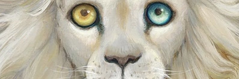 Marielitabr's profile banner image