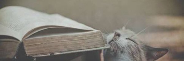 shiro_amamiya Profile Banner