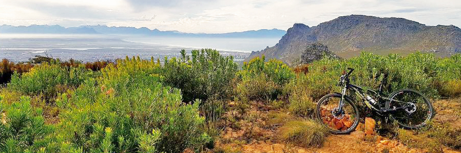 Howard Steele banner