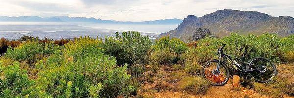 Hojalaca Profile Banner