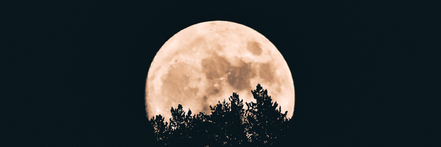 sunnervous's profile banner image