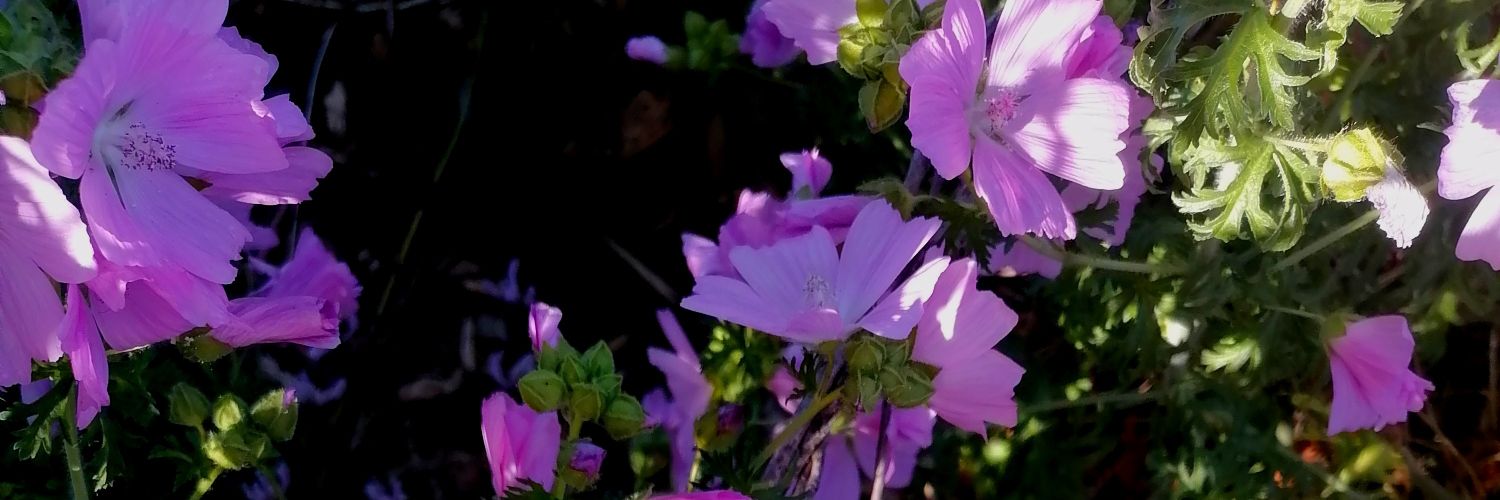 StreamGR's profile banner image