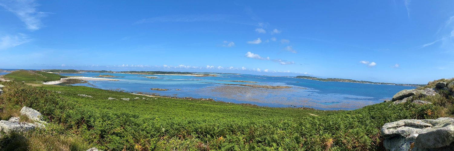 Thecla Keizer banner