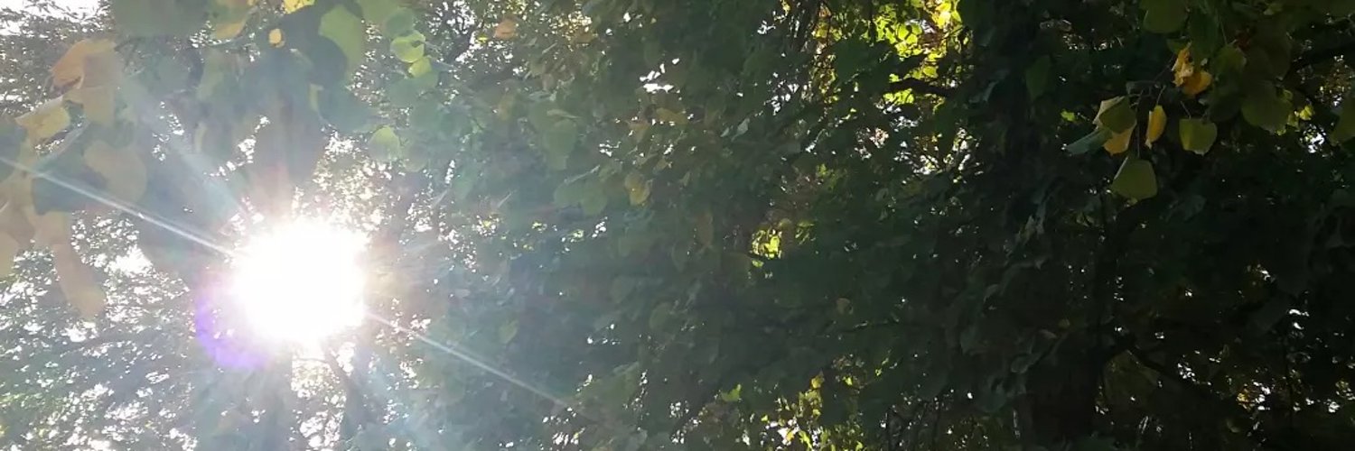 Ela_Elesi's profile banner image