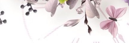 amollla_15's profile banner image