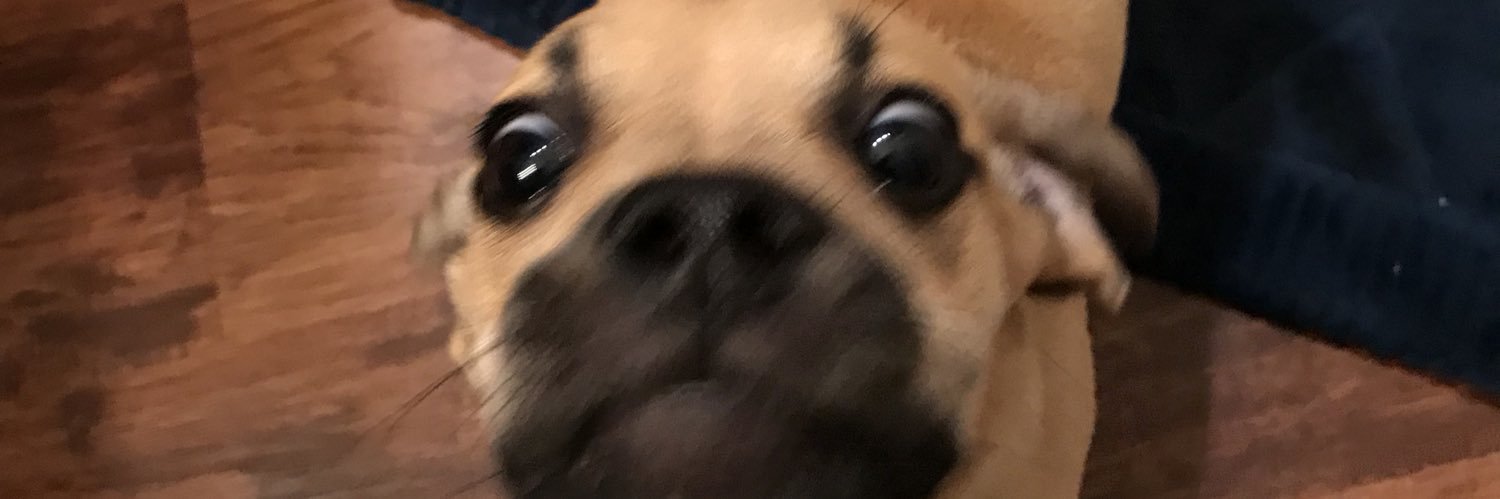 Doctor_House22's profile banner image
