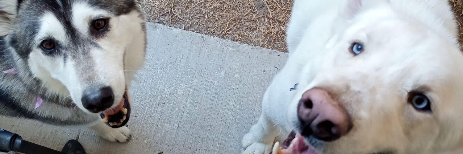 anndyBi's profile banner image
