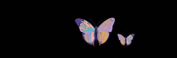 yanitoonn's profile banner image