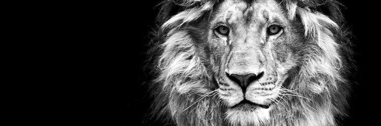 LookBihh's profile banner image