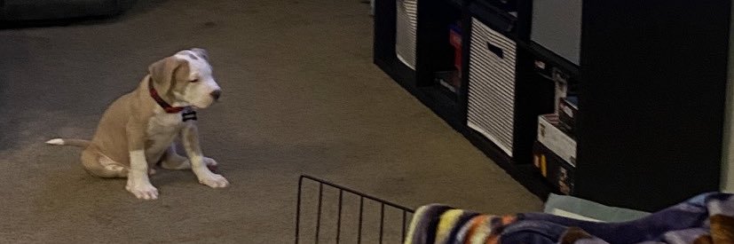 🍝$auce🍝 banner