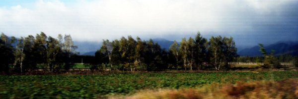 nnwizard Profile Banner