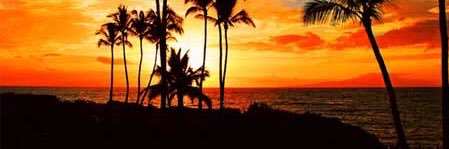 Robert Garcia banner