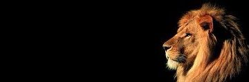 seth__reed's profile banner image