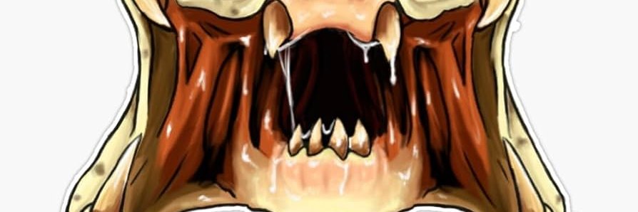 matej_zelinka's profile banner image