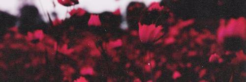 я гризу нігті🇺🇦 banner