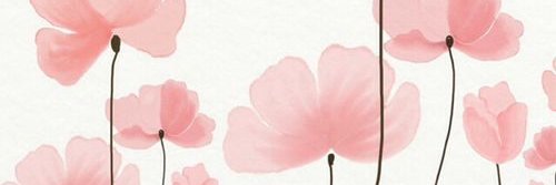 TheChaosInMe's profile banner image