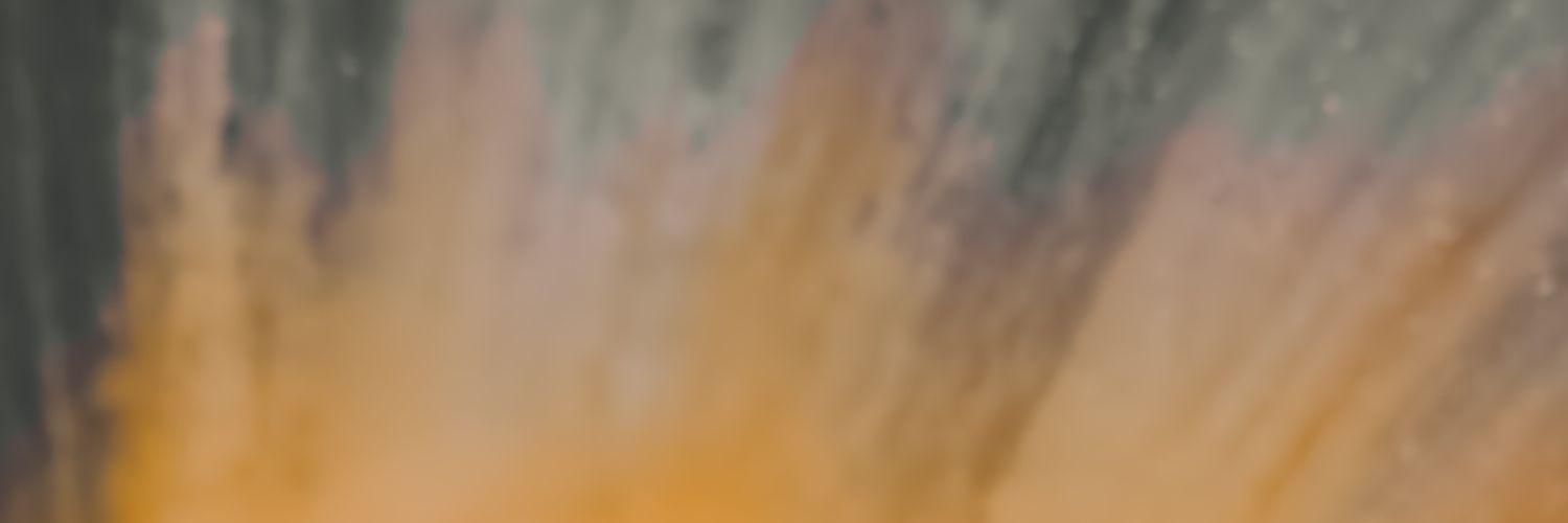 alii0___'s profile banner image