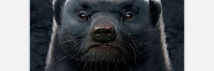 Bhughanda's profile banner image