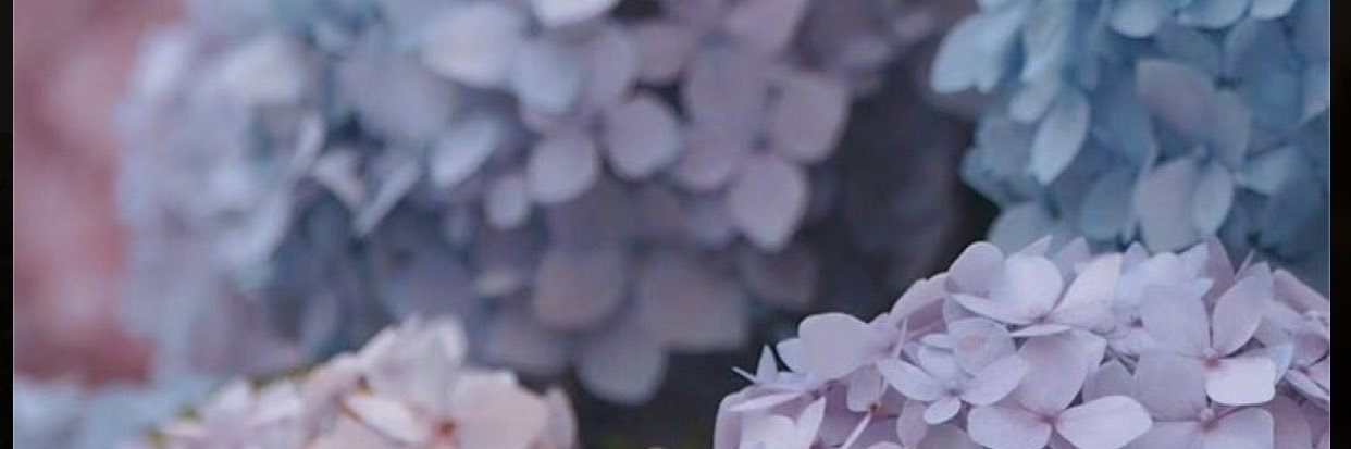 jamanth13's profile banner image