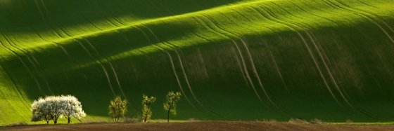 M_Kundera_bot's profile banner image