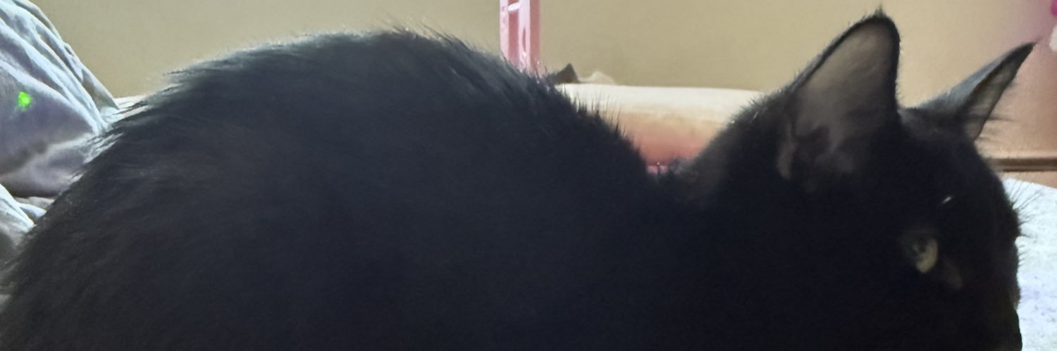dewuan_does's profile banner image