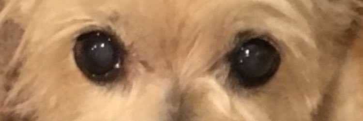 Fil_Sa_Fer's profile banner image