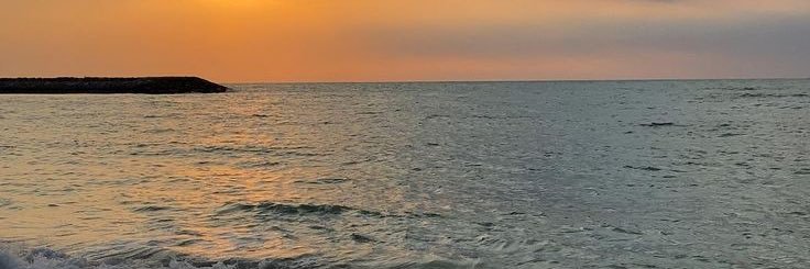 annahrafron's profile banner image