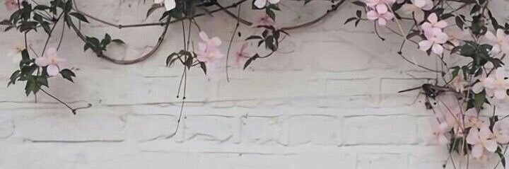 susybg96's profile banner image