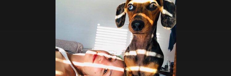noemarchetti's profile banner image