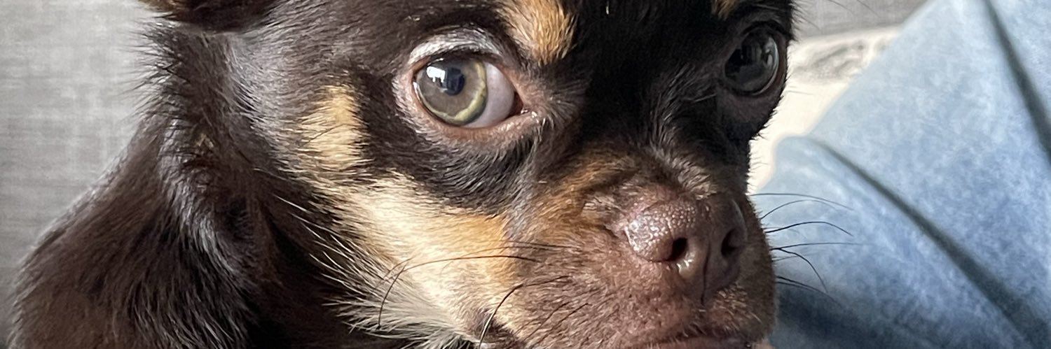 MateusGaspar's profile banner image