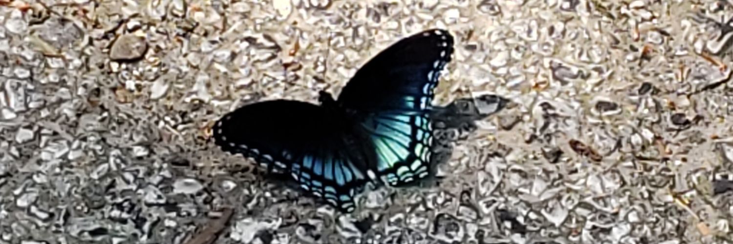 amckenna110's profile banner image