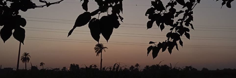 NohaMnssl's profile banner image