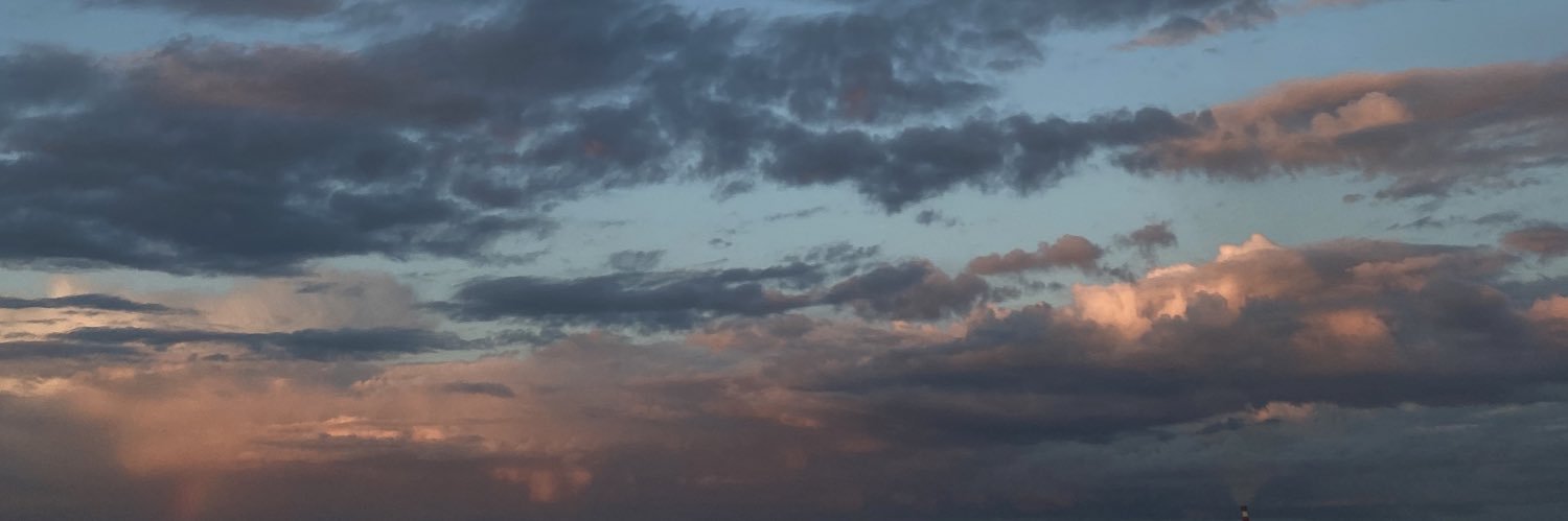 antropovamari's profile banner image