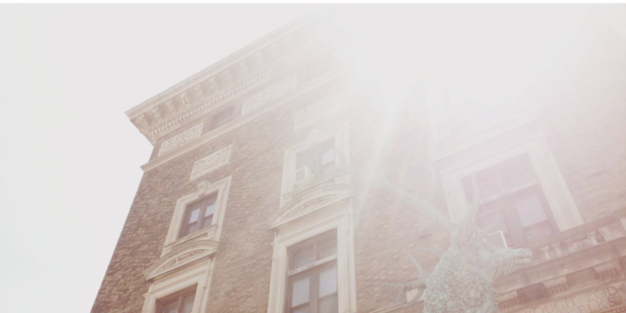 nlfnyc's profile banner image