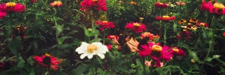 FisioFer_Tab's profile banner image