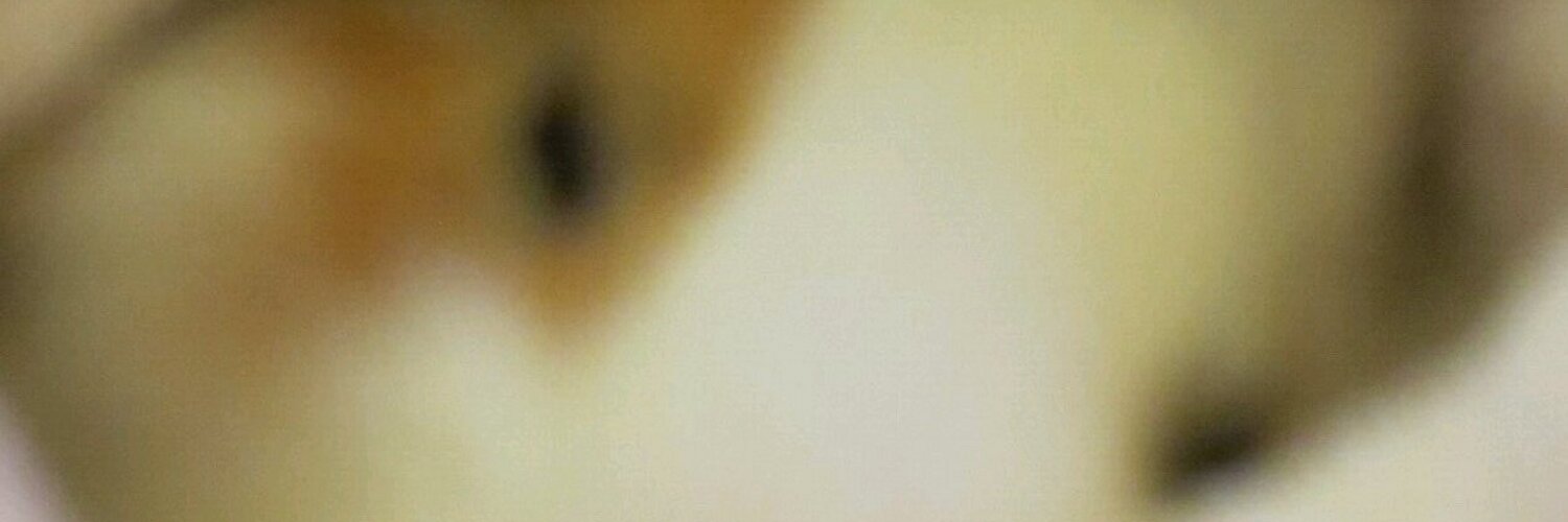 sayberry's profile banner image
