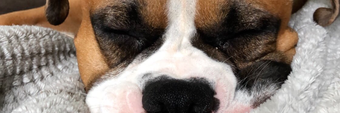 loo_17's profile banner image